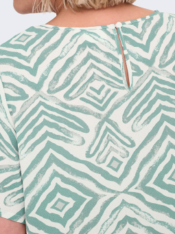 CARVICA - Plus Size Bluse fra Only Carmakoma