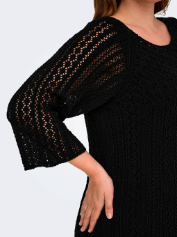 CARNOLA - Plus Size Sweater fra Only Carmakoma
