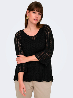 CARNOLA - Plus Size Sweater fra Only Carmakoma