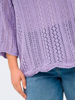 CARNOLA - Plus Size Sweater fra Only Carmakoma