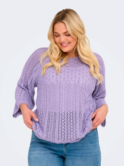 CARNOLA - Plus Size Sweater fra Only Carmakoma