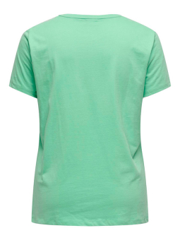 CARAMMY - Plus Size T-shirt fra Only Carmakoma