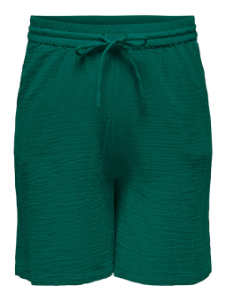 CARTHYRA - Plus Size Shorts fra Only Carmakoma