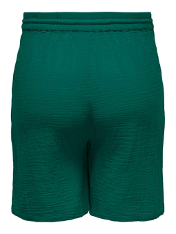 CARTHYRA - Plus Size Shorts fra Only Carmakoma