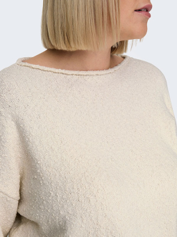 CARALVILDA - Plus Size Sweater fra Only Carmakoma