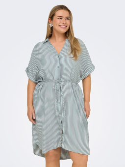 CARPENNA - Plus Size Kjole fra Only Carmakoma
