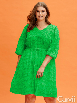 Zhenzi EVELYNN - Grøn chiffon kjole med struktur