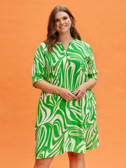 Zhenzi JANELLE - Kjole med grønt print
