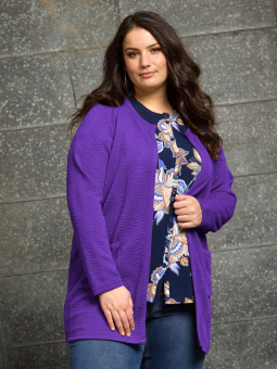 REIMER - Lys brun cardigan med jacquard struktur