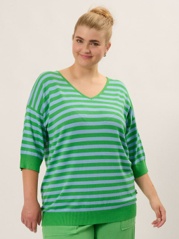 Plus Size Sweater fra Adia