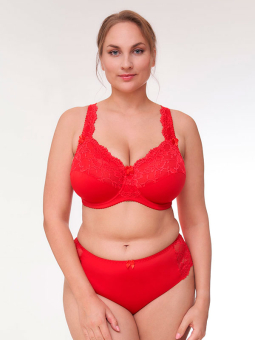 Plus Size Trusse fra Plaisir