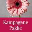 Kampagne